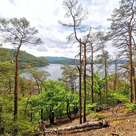 公寓 Schoene Aussicht Gruen