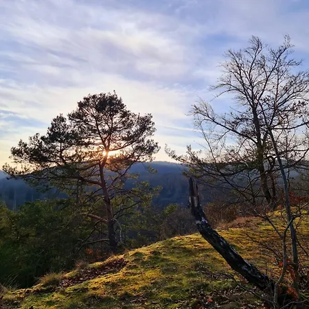Schoene Aussicht Gruen Hemfurth-Edersee
